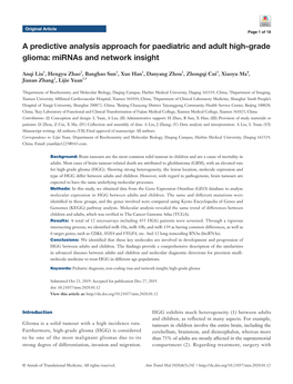 A Predictive Analysis Approach for Paediatric and Adult High-Grade Glioma: Mirnas and Network Insight
