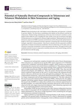 Potential of Naturally Derived Compounds in Telomerase and Telomere Modulation in Skin Senescence and Aging