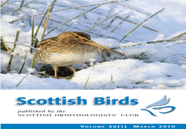 SCOTTISH Birds Offered Tremendous Views As They Fed on the Happened