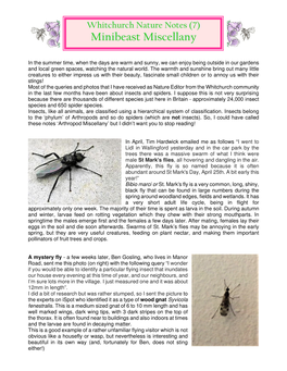 Whitchurch Nature Notes (7) Minibeast Miscellany