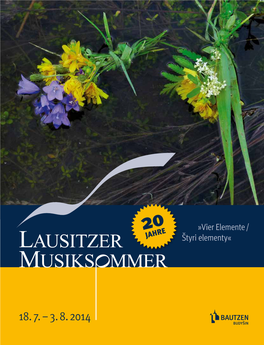 Lausitzer Musiksommer 2014 Nik