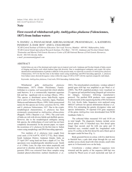 Note First Record of Whitebarred Goby Amblygobius Phalaena