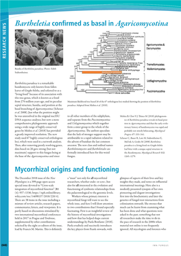 Bartheletia Confirmed As Basal in Agaricomycotina Mycorrhizal