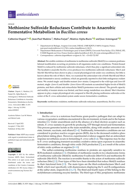 Methionine Sulfoxide Reductases Contribute to Anaerobic Fermentative Metabolism in Bacillus Cereus