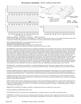 Moths of North Carolina - Early Draft 1