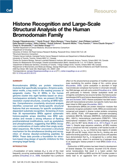 Histone Recognition and Large-Scale Structural Analysis of the Human Bromodomain Family