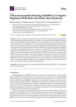 A Rice Immunophilin Homolog, Osfkbp12, Is a Negative Regulator of Both Biotic and Abiotic Stress Responses