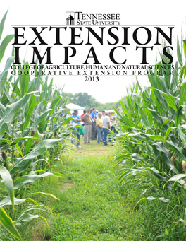 Extension Impacts