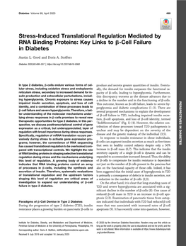 Stress-Induced Translational Regulation Mediated by RNA Binding Proteins: Key Links to B-Cell Failure in Diabetes