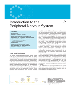 Introduction to the Peripheral Nervous System 2