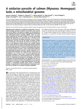 A Cnidarian Parasite of Salmon (Myxozoa: Henneguya) Lacks a Mitochondrial Genome