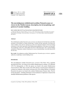 Zootaxa 528: 1–8 (2004) ISSN 1175-5326 (Print Edition) ZOOTAXA 528 Copyright © 2004 Magnolia Press ISSN 1175-5334 (Online Edition)