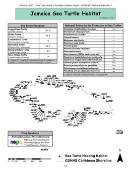 Jamaica Sea Turtle Habitat © WIDECAST 2007