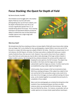 Focus Stacking: the Quest for Depth of Field