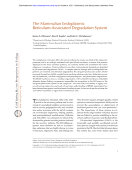 The Mammalian Endoplasmic Reticulum-Associated Degradation System