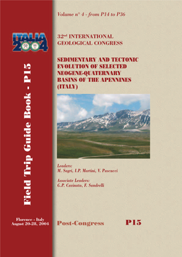 P15 Copertina R OK C August 20-28,2004 Florence -Italy Field Trip Guide Book - P15 Post-Congress G.P