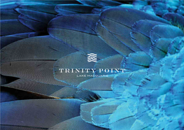 JENNIFER HAWKINS Trinity Point Ambassador