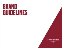 3 Brand Strategy 6 Identity 24 Graphic Elements 30 Typography 36 Color