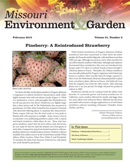 Pineberry: a Reintroduced Strawberry