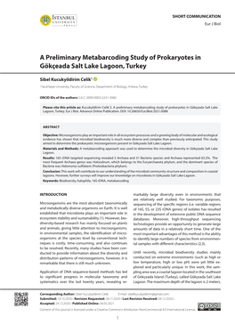 A Preliminary Metabarcoding Study of Prokaryotes in Gökçeada Salt Lake Lagoon, Turkey