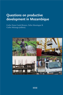 Questions on Productive Development in Mozambique