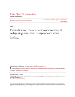 Purification and Characterization of Recombinant Collagens/Gelatins from Transgenic Corn Seeds Cheng Zhang Iowa State University