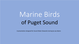 Marine Birds of Puget Sound 2018