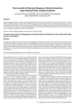 First Records of Liberian Mongoose Liberiictis Kuhni in Sapo National Park, Southeast Liberia