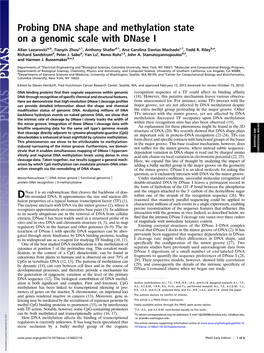 Probing DNA Shape and Methylation State on a Genomic Scale with Dnase I