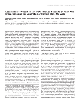 Localization of Caspr2 in Myelinated Nerves Depends on Axon–Glia Interactions and the Generation of Barriers Along the Axon