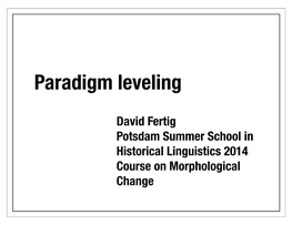 Paradigm Leveling