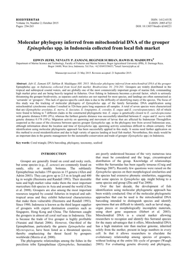 Molecular Phylogeny Inferred from Mitochondrial DNA of the Grouper Epinephelus Spp