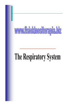 The Respiratory System