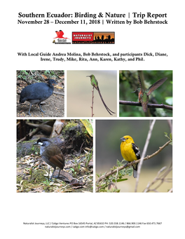 Southern Ecuador: Birding & Nature | Trip Report November 28 – December 11, 2018 | Written by Bob Behrstock