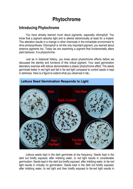 Phytochrome Introducing Phytochrome