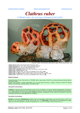 Clathrus Ruber