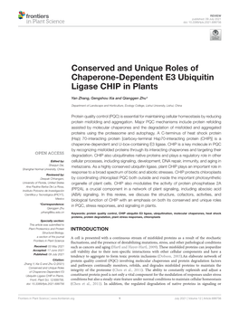 Conserved and Unique Roles of Chaperone-Dependent E3 Ubiquitin Ligase CHIP in Plants