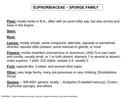 Euphorbiaceae – Spurge Family