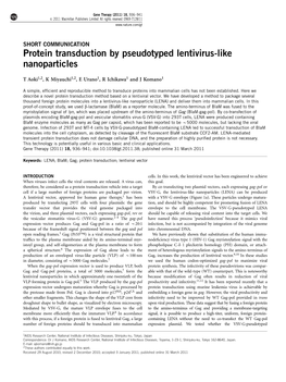 Protein Transduction by Pseudotyped Lentivirus-Like Nanoparticles