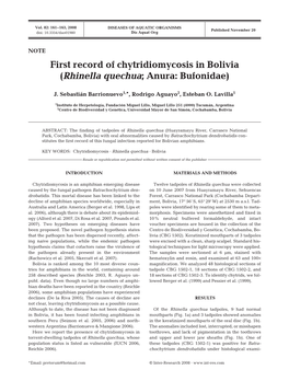 First Record of Chytridiomycosis in Bolivia (Rhinella Quechua; Anura: Bufonidae)