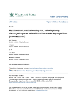 Mycobacterium Pseudoshottsii Sp Nov., a Slowly Growing Chromogenic Species Isolated from Chesapeake Bay Striped Bass (Morone Saxatilis)