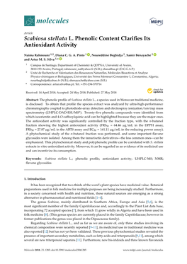 Scabiosa Stellata L. Phenolic Content Clarifies Its Antioxidant Activity