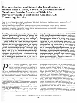 Characterization and Subcellular Localization of Human Pmel 17/Silver, a 100-Kda