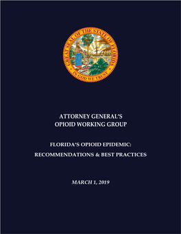 Attorney General's Opioid Working Group, Recommendations and Best