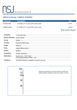 UBA3 Antibody / UBE1C (F54550)