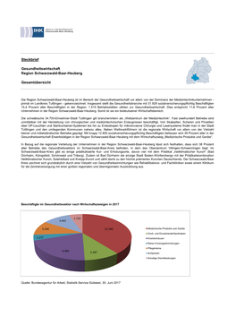 Steckbrief Gesundheitswirtschaft Region Schwarzwald-Baar