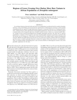 Regions of Lower Crossing Over Harbor More Rare Variants in African Populations of Drosophila Melanogaster