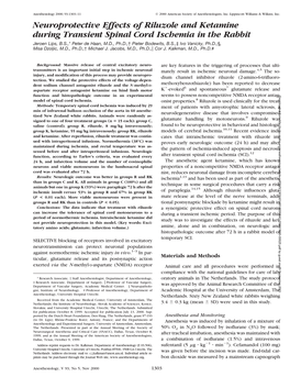 Neuroprotective Effects of Riluzole and Ketamine During Transient