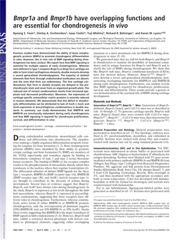 Bmpr1a and Bmpr1b Have Overlapping Functions and Are Essential for Chondrogenesis in Vivo