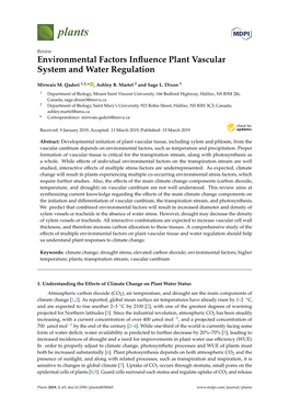 Environmental Factors Influence Plant Vascular System and Water